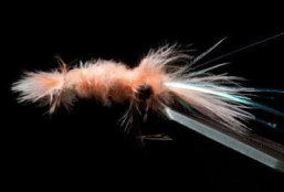 Martin's Mundane Pink Shrimp Martin's Mundane Pink Shrimp