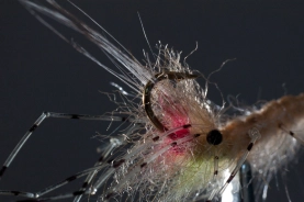 Tied upside down Tied upside down