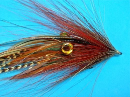 The eyes stand out The eyes stand out