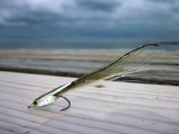 Simple fly Simple fly