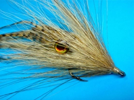 Pronounced Pronounced