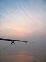 The fly rod The fly rod