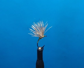 Deer Hair Stuck Dun size 18 Deer Hair Stuck Dun size 18