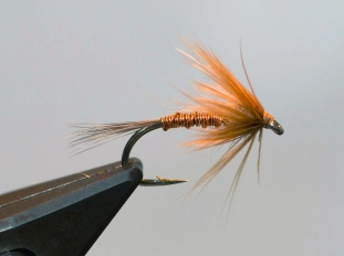 A compact model A compact model