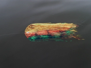 A true carpet A true carpet