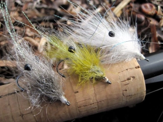 Variations Variations