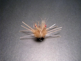 A rear view A rear view