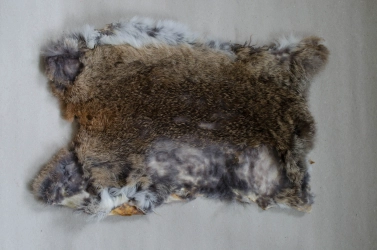 The fur side The fur side