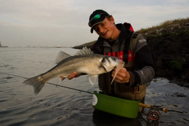 Late season Late season