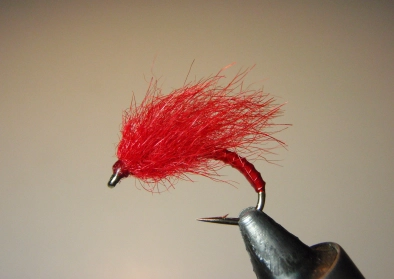 The fly that started it The fly that started it