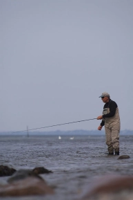 A rare event A rare event