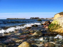 A gammarus day A gammarus day