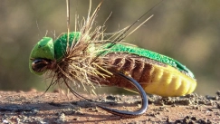 Firehole 316 bottom Firehole 316 bottom