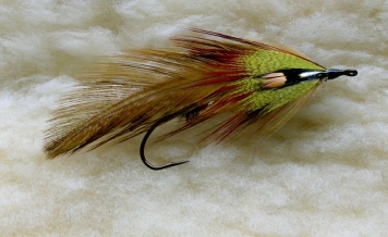 Brown Trout Brown Trout