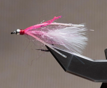 Pink Lynx' Whisker Pink Lynx' Whisker