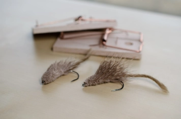 Deer hair mice Deer hair mice