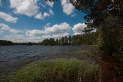 Lake fishing Lake fishing