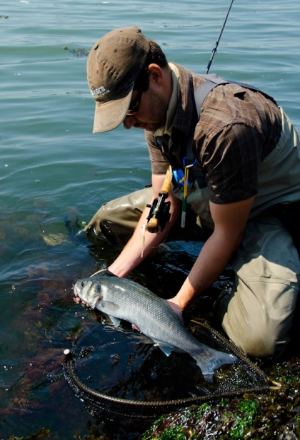 A quick photo A quick photo