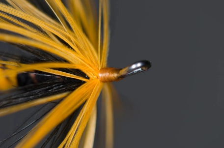 Small head Small head