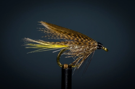 Jenny Wren Jenny Wren