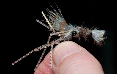 In all its simple glory In all its simple glory