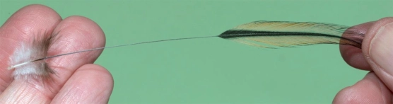 Strip the barbs Strip the barbs