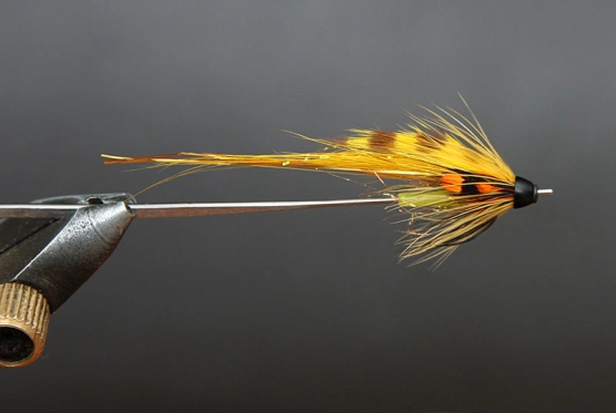 Step 10 - cone Step 10 - cone