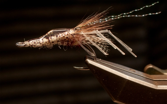 Prefab Shrimp done Prefab Shrimp done