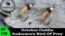 Video thumb for Anderson's Bird of Prey October Caddis Var.