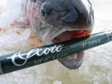 User submitted picture: New rod