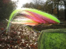 User submitted picture: Pikestreamer