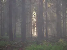 User submitted picture: A misty eve on a trout st...