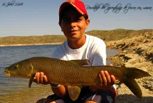 User submitted picture: Result of a good learning