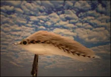 User submitted picture: Back to simple materials.