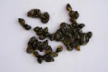 User submitted picture: These are just a few of s...