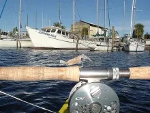 User submitted picture: Root Beer "Epoxy Shrimp...