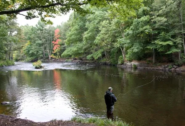 User submitted picture: Mörrum River in Sweden fl...