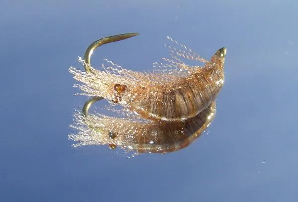 User submitted picture: Scud organza and rÃ©sine U...