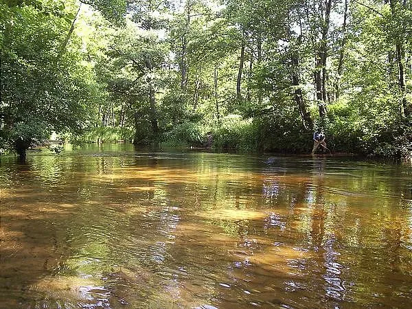 User submitted picture: Gin clear small stream qu...