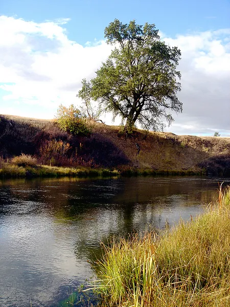 User submitted picture: Hat Creek - Northern Cali...