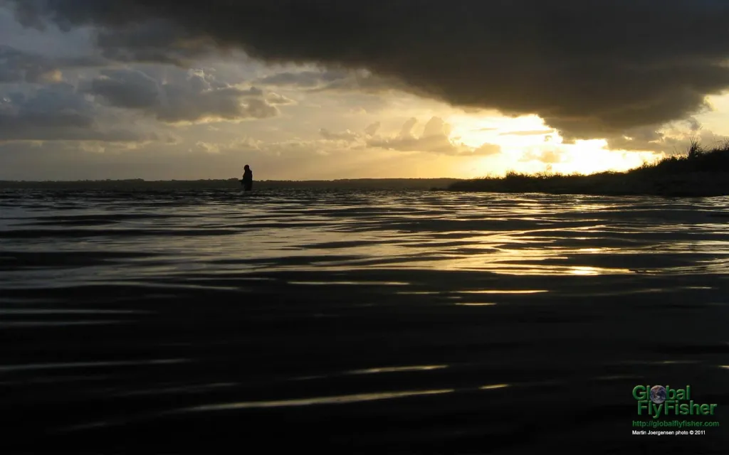 Computer screen wallpaper: Coastal flyfisher in the sunset
